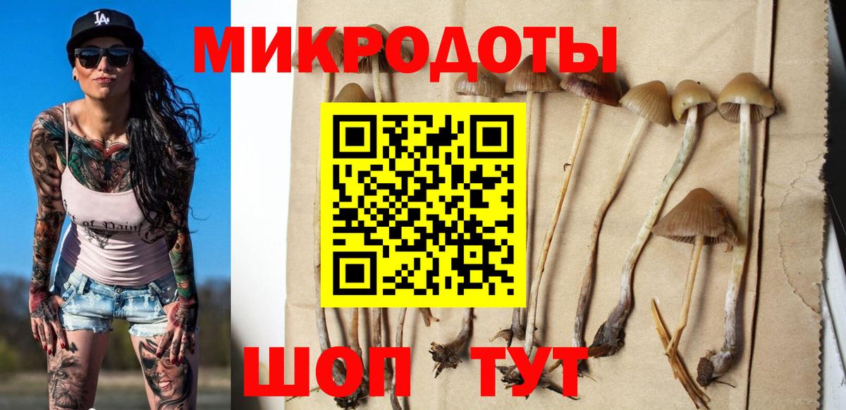 Псилоцибиновые грибы GOLDEN TEACHER Кудымкар